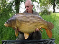 27lb 8oz creased common